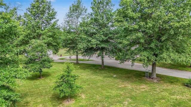 23708 S Southcrest Dr, Peculiar, MO 64078 - view of community with a yard