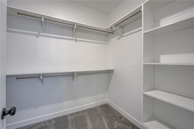 3323 N 109th Ter, Kansas City, KS 66109 - walk in closet with dark carpet