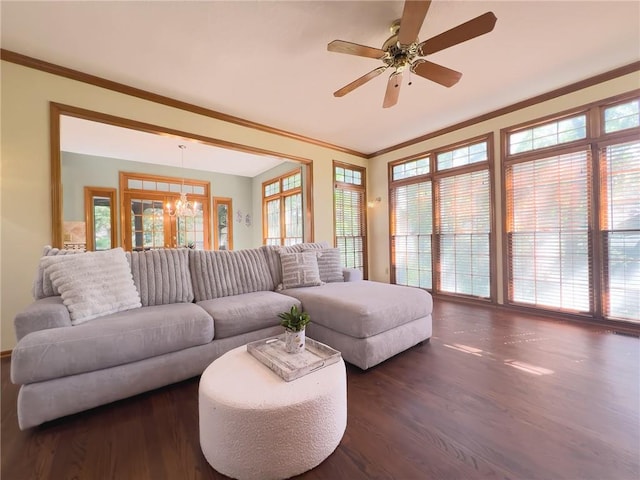 13009 Fontana St, Leawood, KS 66209 - living room featuring a chandelier, dark wood finished floors, ornamental molding, and a ceiling fan