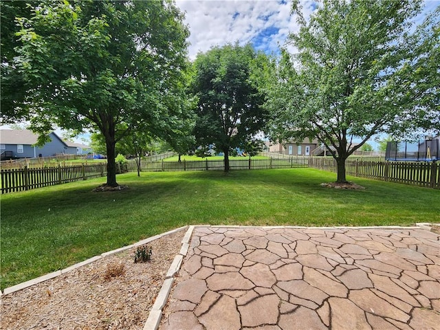 7905 NE 107th St, Kansas City, MO 64157 - photo 37