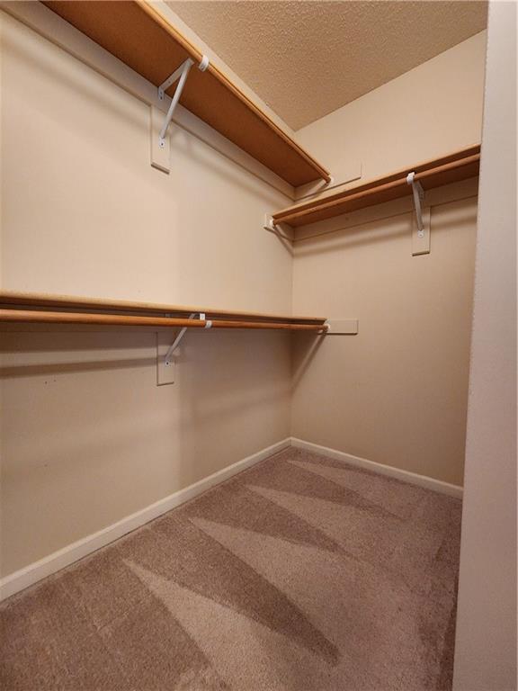 7905 NE 107th St, Kansas City, MO 64157 - photo 21