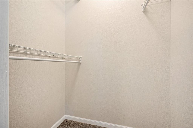 212 NW Parker Dr, Grain Valley, MO 64029 - walk in closet featuring carpet flooring