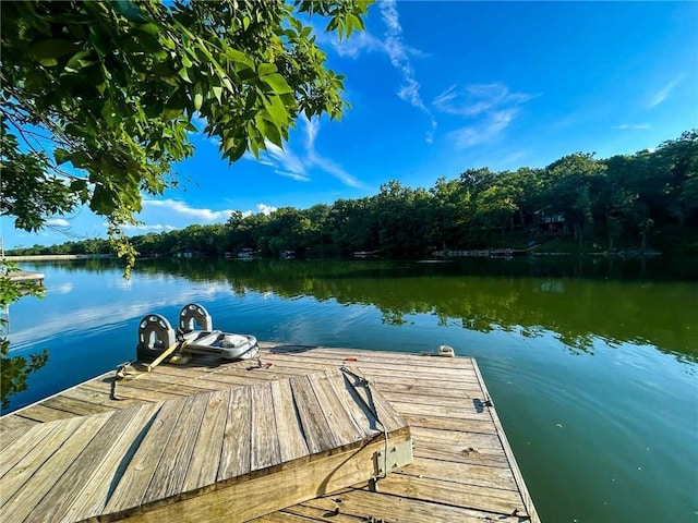 126 W Lou Ann Dr, La Cygne, KS 66040