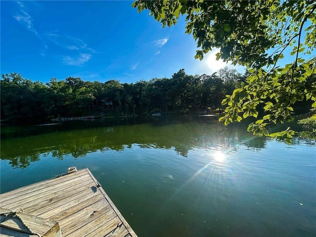 126 W Lou Ann Dr, La Cygne, KS 66040