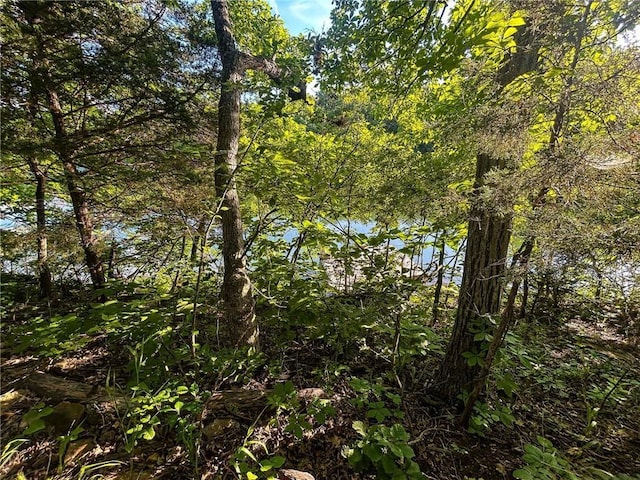 126 W Lou Ann Dr, La Cygne, KS 66040