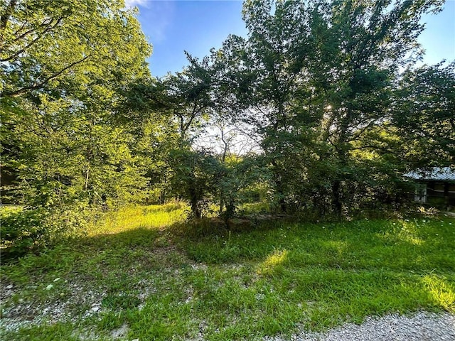 126 W Lou Ann Dr, La Cygne, KS 66040