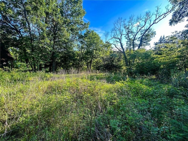 126 W Lou Ann Dr, La Cygne, KS 66040