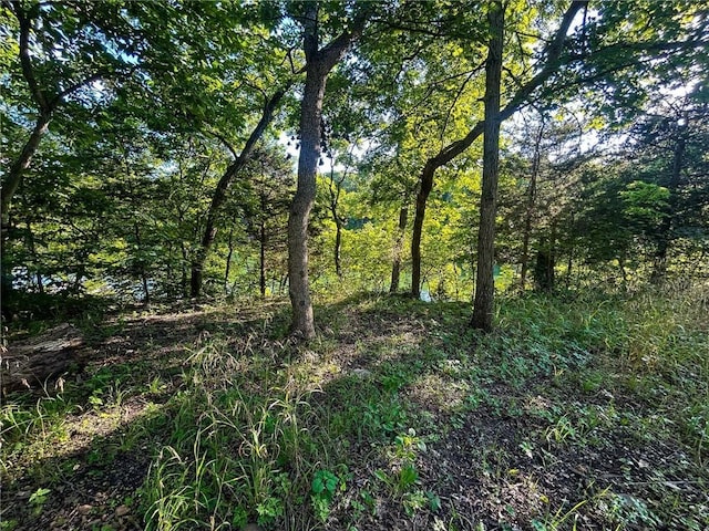 126 W Lou Ann Dr, La Cygne, KS 66040
