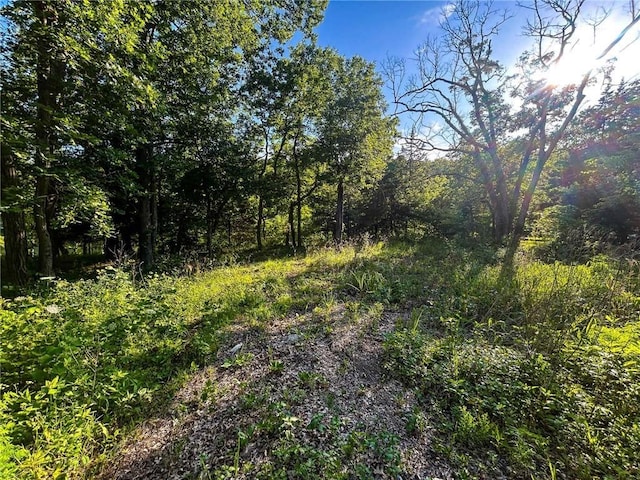 126 W Lou Ann Dr, La Cygne, KS 66040