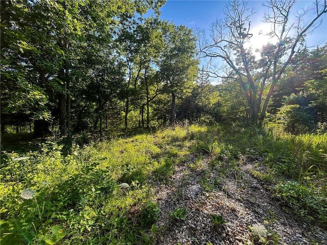 126 W Lou Ann Dr, La Cygne, KS 66040