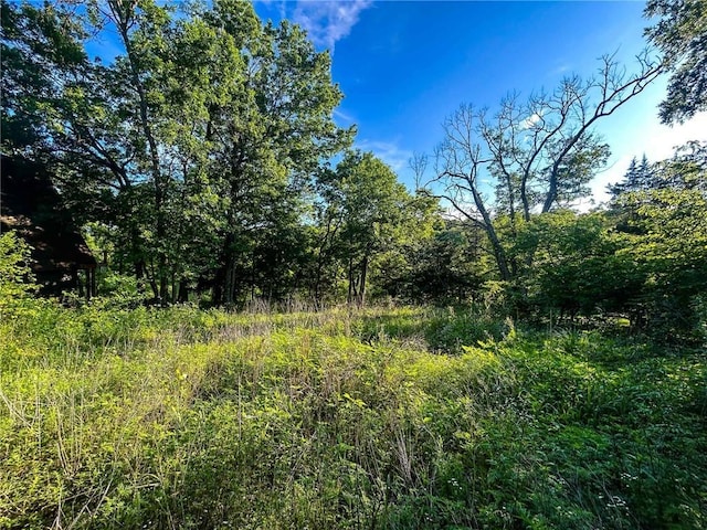 126 W Lou Ann Dr, La Cygne, KS 66040