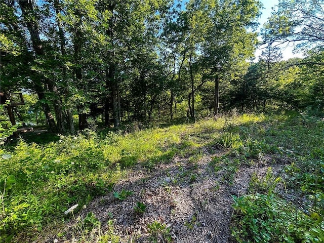 126 W Lou Ann Dr, La Cygne, KS 66040