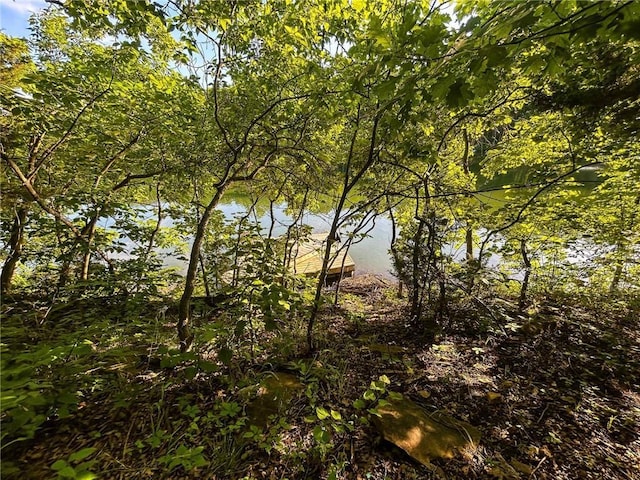 126 W Lou Ann Dr, La Cygne, KS 66040