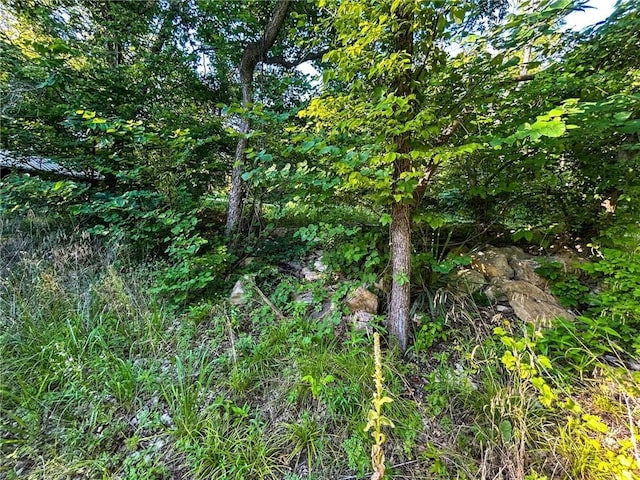 126 W Lou Ann Dr, La Cygne, KS 66040