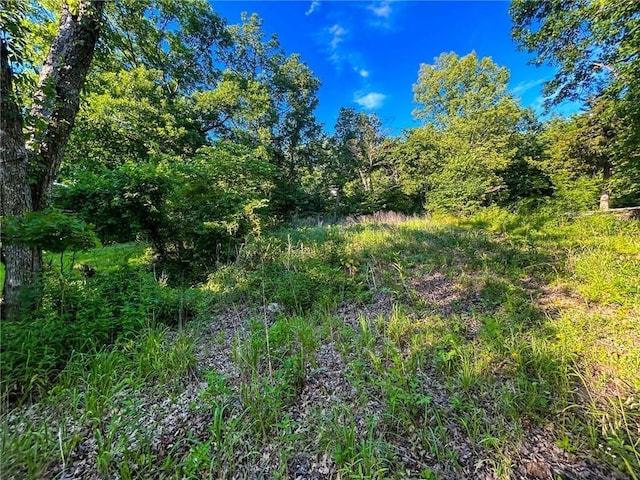 126 W Lou Ann Dr, La Cygne, KS 66040
