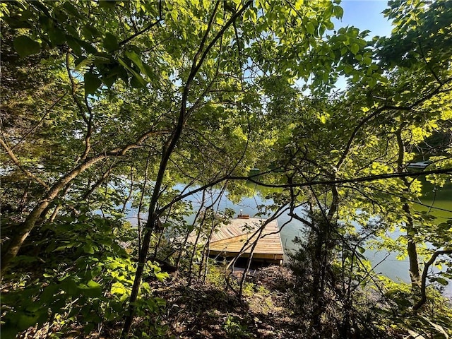 126 W Lou Ann Dr, La Cygne, KS 66040