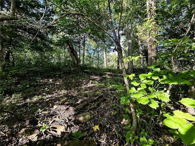 126 W Lou Ann Dr, La Cygne, KS 66040