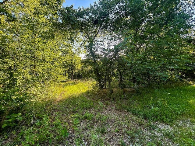 126 W Lou Ann Dr, La Cygne, KS 66040