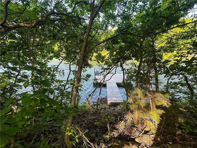 126 W Lou Ann Dr, La Cygne, KS 66040