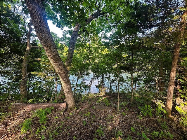 126 W Lou Ann Dr, La Cygne, KS 66040