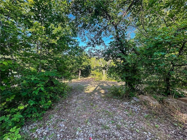 126 W Lou Ann Dr, La Cygne, KS 66040