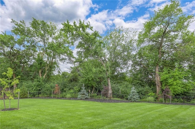 2767 SW 12th Ter, Lees Summit, MO 64081 - photo 17