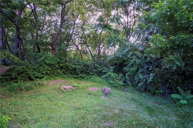 600 Ridgeview Ave, Kansas City, KS 66103 - view of grassy yard with a view of trees