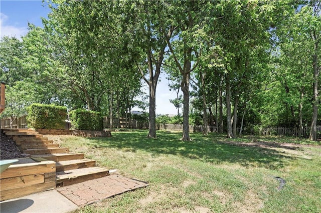 109 NW Whitlock Dr, Lees Summit, MO 64081 - view of fenced backyard