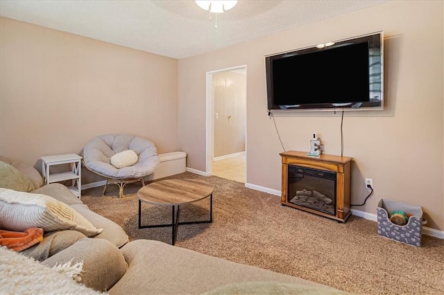 810 Vest Dr, Warrensburg, MO 64093 - carpeted living area with a textured ceiling and baseboards