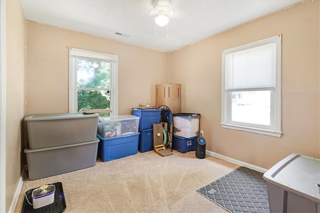 810 Vest Dr, Warrensburg, MO 64093 - view of storage area