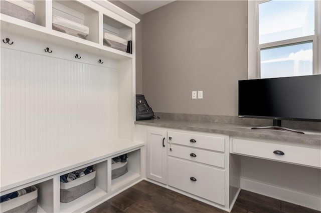 25096 W 87th St, Lenexa, KS 66227 - mudroom featuring dark wood-style flooring
