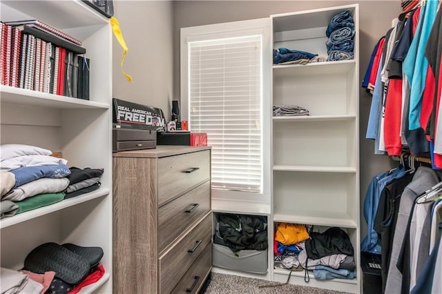 25096 W 87th St, Lenexa, KS 66227 - view of walk in closet