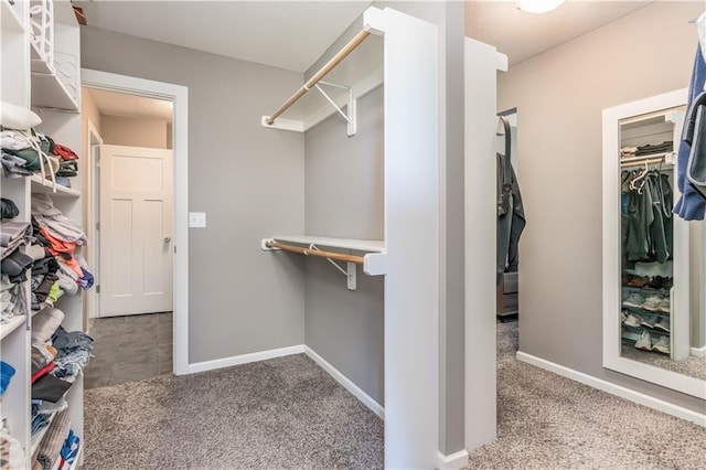 25096 W 87th St, Lenexa, KS 66227 - spacious closet with carpet floors