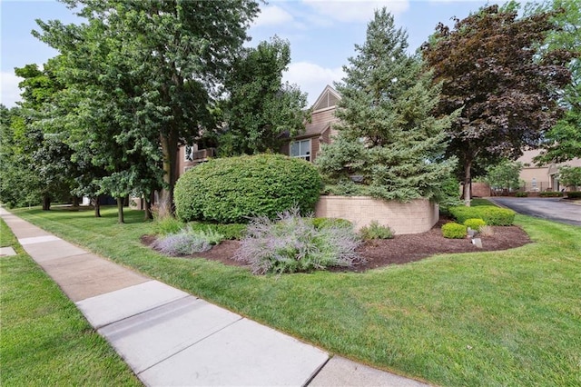 11224 Nieman Rd Unit 302, Overland Park, KS 66210 - surrounding community with a lawn