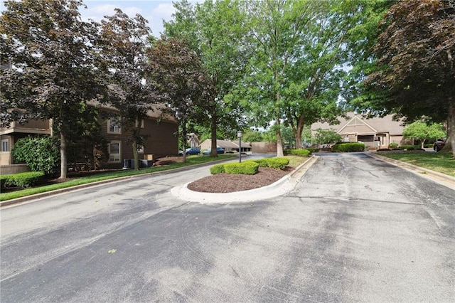 11224 Nieman Rd Unit 302, Overland Park, KS 66210 - view of asphalt road featuring curbs