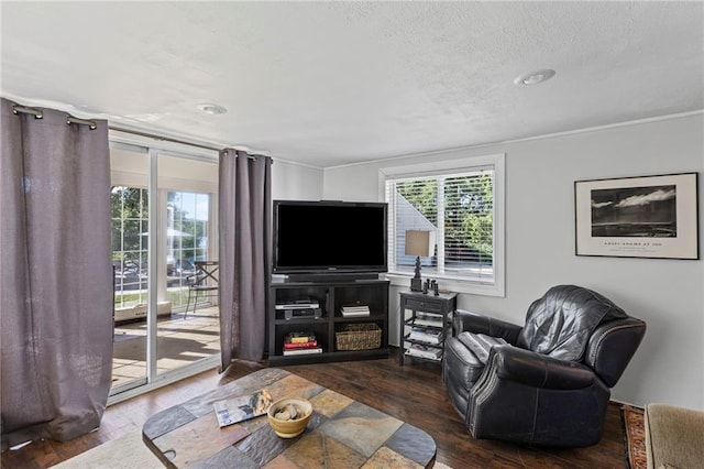 1015 S Wyckford Rd, Olathe, KS 66061 - living room featuring wood-type flooring and a textured ceiling