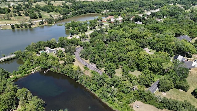 1015 S Wyckford Rd, Olathe, KS 66061 - aerial view of property's location with a large body of water