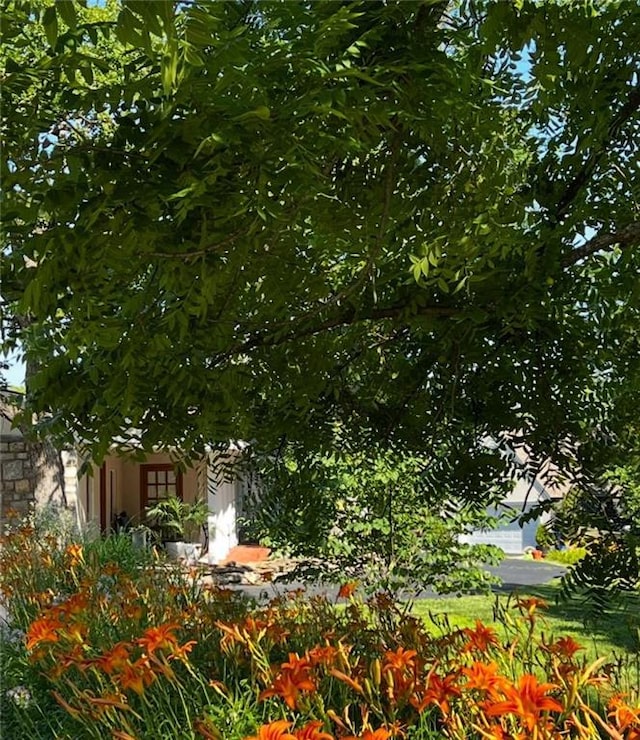 1015 S Wyckford Rd, Olathe, KS 66061 - view of yard