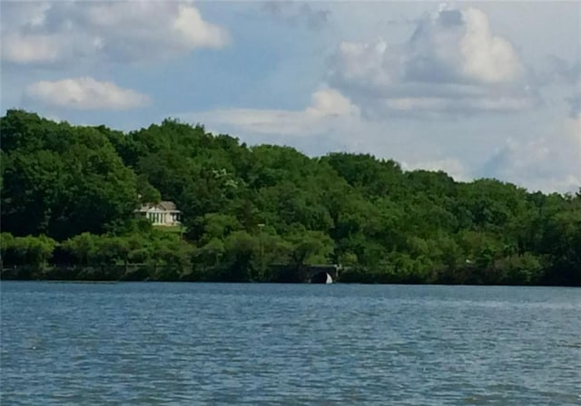 1015 S Wyckford Rd, Olathe, KS 66061 - water view featuring a forest