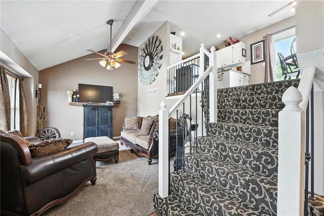 12230 S Nelson Rd, Olathe, KS 66061 - photo 7