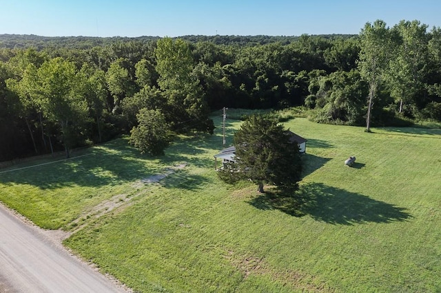 17931 Hollingsworth Rd, Tonganoxie, KS 66086 - aerial view of a forest