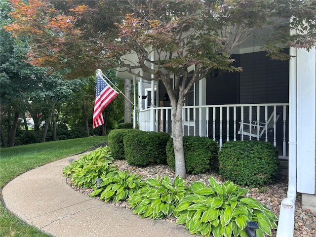 2006 Buckingham St, Saint Joseph, MO 64506 - view of yard