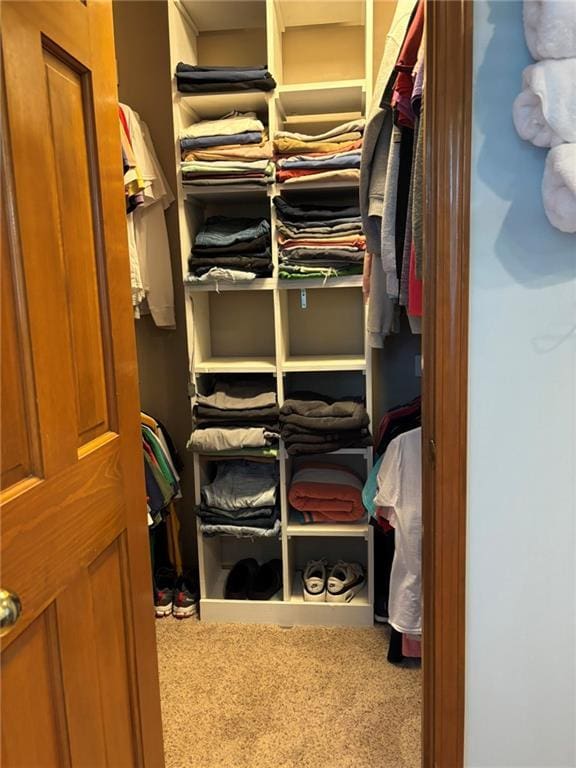 2006 Buckingham St, Saint Joseph, MO 64506 - walk in closet with carpet floors