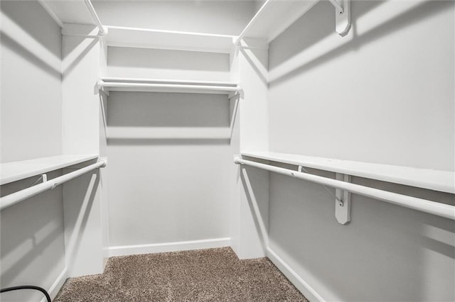 311 S 3rd St, Odessa, MO 64076 - walk in closet with carpet floors