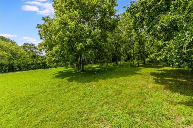 4701 SW Bethel Rd, Saint Joseph, MO 64504 - photo 44