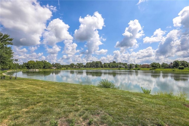 129 SE Chelsea Dr, Lees Summit, MO 64063 - water view