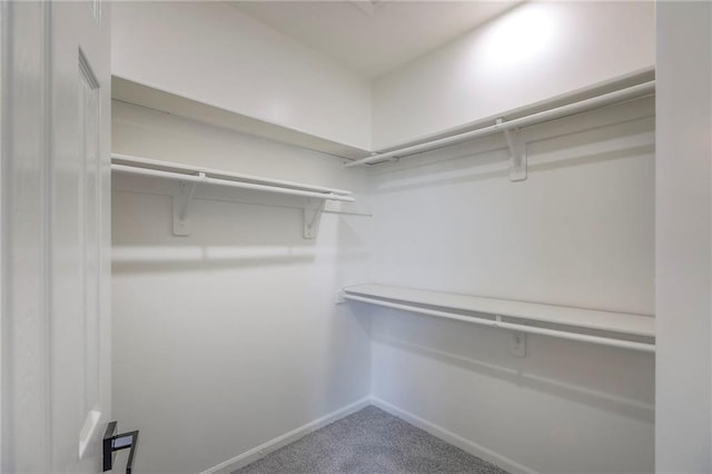 129 SE Chelsea Dr, Lees Summit, MO 64063 - spacious closet featuring carpet floors