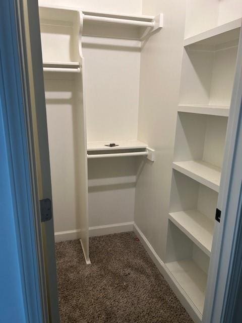 211 Harrison St, Pomona, KS 66076 - walk in closet featuring carpet flooring