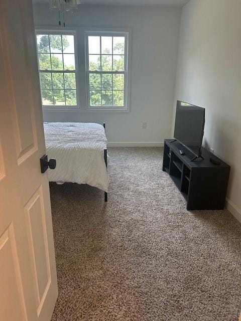 211 Harrison St, Pomona, KS 66076 - bedroom featuring carpet floors