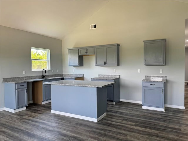 213 Bald Eagle Dr, La Cygne, KS 66040 - kitchen featuring a kitchen island, high vaulted ceiling, dark wood finished floors, and gray cabinetry